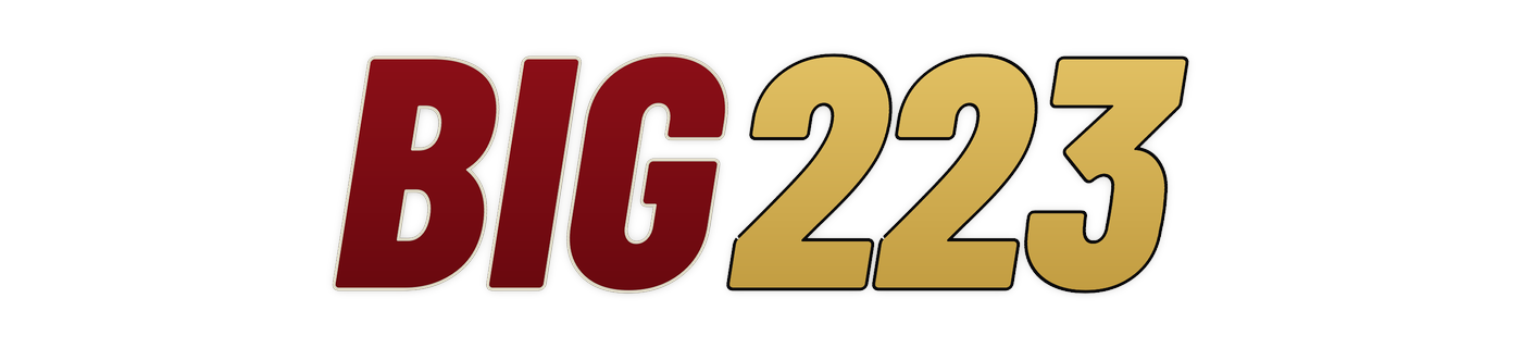 big223